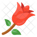 پیش‌نمایش فایل rose-3170407 از پک فصل‌ها
