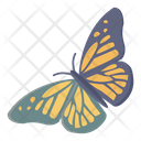 پیش‌نمایش فایل butterfly-3170310 از پک فصل‌ها