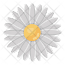 پیش‌نمایش فایل daisy-flower-3170332 از پک فصل‌ها