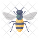 پیش‌نمایش فایل honey-bee-3170318 از پک فصل‌ها