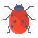 پیش‌نمایش فایل ladybird-3170330 از پک فصل‌ها