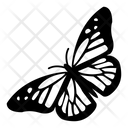 پیش‌نمایش فایل butterfly-3170260 از پک فصل‌ها