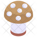 پیش‌نمایش فایل mushroom-3254717 از پک سفر