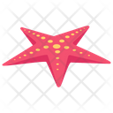 پیش‌نمایش فایل star-fish-3254771 از پک سفر