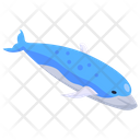 پیش‌نمایش فایل whale-3254753 از پک سفر