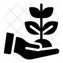 پیش‌نمایش فایل plant-care-3332331 از پک کشاورزی
