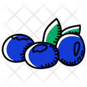 پیش‌نمایش فایل blueberries-3329752 از پک غذا و سبزیجات