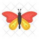 پیش‌نمایش فایل butterfly-3379552 از پک مدرسه