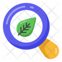 پیش‌نمایش فایل search-leaf-3379526 از پک مدرسه