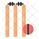 پیش‌نمایش فایل cricket-wicket-3384494 از پک ورزشی