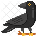 پیش‌نمایش فایل crow-3384445 از پک هالووین