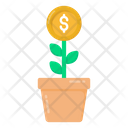 پیش‌نمایش فایل money-plant-3390033 از پک دولت