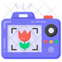 پیش‌نمایش فایل macro-photography-3385403 از پک مهمانی تابستانی