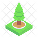 پیش‌نمایش فایل conifer-tree-3413624 از پک زندگی شهری