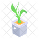 پیش‌نمایش فایل potted-plant-3413549 از پک زندگی شهری