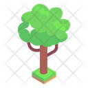 پیش‌نمایش فایل tree-3413563 از پک زندگی شهری