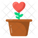 پیش‌نمایش فایل heart-plant-3501504 از پک روز ولنتاین