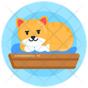 پیش‌نمایش فایل cat-bed-3746977 از پک روز جهانی گربه