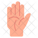پیش‌نمایش فایل hand-palm-4155569 از پک جادو