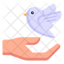 پیش‌نمایش فایل peace-bird-4155608 از پک جادو