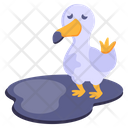 پیش‌نمایش فایل affected-bird-4155403 از پک آلودگی