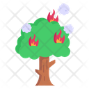 پیش‌نمایش فایل forest-fire-4155379 از پک آلودگی