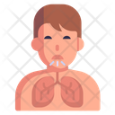 پیش‌نمایش فایل lungs-infection-4155367 از پک آلودگی