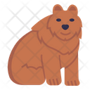 پیش‌نمایش فایل bear-4155916 از پک ژاپن