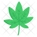 پیش‌نمایش فایل cannabis-4155898 از پک ژاپن
