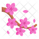 پیش‌نمایش فایل cherry-blossom-4155889 از پک ژاپن