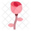 پیش‌نمایش فایل rose-12767369 از پک عشق