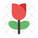 پیش‌نمایش فایل flower-10853560 از پک ولنتاین
