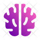پیش‌نمایش فایل brain-10962686 از پک استارتاپ