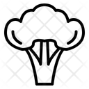 پیش‌نمایش فایل broccoli-10221167 از پک غذا شناسی