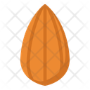 پیش‌نمایش فایل almond-10221304 از پک غذا شناسی