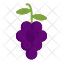 پیش‌نمایش فایل grape-10221332 از پک غذا شناسی