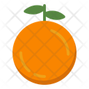 پیش‌نمایش فایل orange-10221340 از پک غذا شناسی