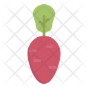پیش‌نمایش فایل radish-10221344 از پک غذا شناسی