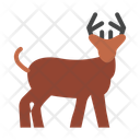 پیش‌نمایش فایل deer-10152521 از پک کمپینگ