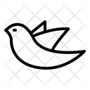 پیش‌نمایش فایل bird-4268662 از پک پاییز