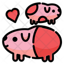 پیش‌نمایش فایل heart-guinea-pig-5855641 از پک حیوان خانگی دوست داشتنی بانمک