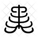 پیش‌نمایش فایل ribs-13 از پک پزشکی