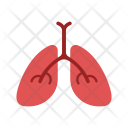 پیش‌نمایش فایل lung-17 از پک پزشکی