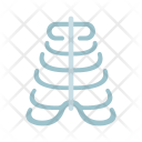 پیش‌نمایش فایل ribs-14 از پک پزشکی