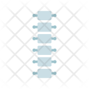 پیش‌نمایش فایل spine-19 از پک پزشکی