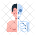 پیش‌نمایش فایل anatomy-37 از پک Science 