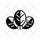 پیش‌نمایش فایل leaves-89 از پک Ecology 