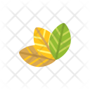 پیش‌نمایش فایل leaves-90 از پک Ecology 