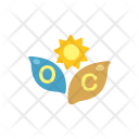 پیش‌نمایش فایل photosynthesis-2 از پک Ecology 
