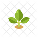 پیش‌نمایش فایل planting-33 از پک Ecology 